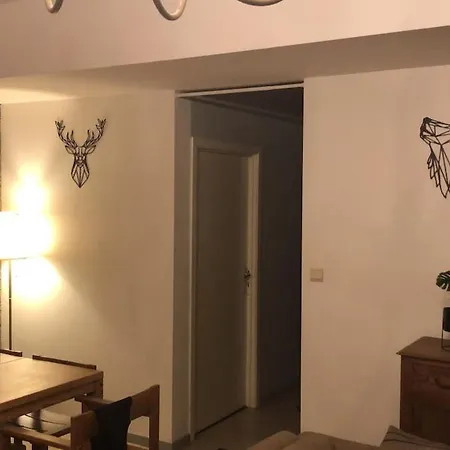 Aan De Ourthe In Maboge En Ardenne * La-Roche-en-Ardenne