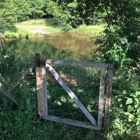 Aan De Ourthe In Maboge En Ardenne * ラ・ロシュ・アン・アルデンヌ