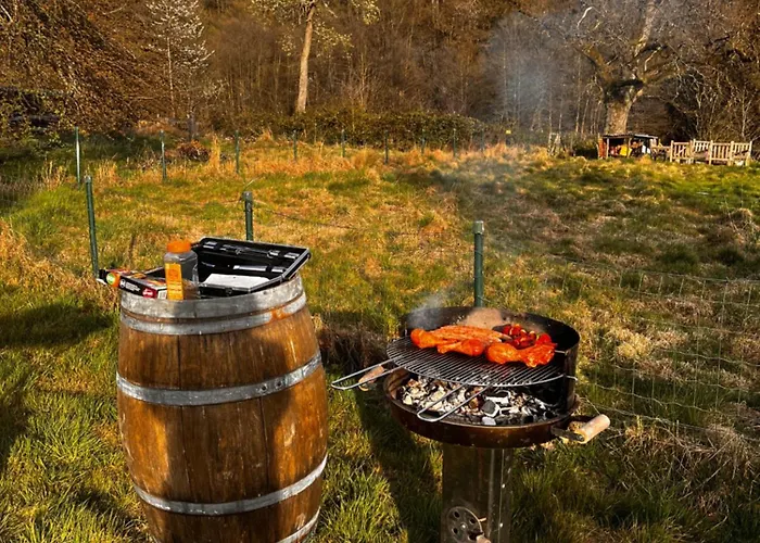 Aan De Ourthe In Maboge En Ardenne Holiday home La Roche-en-Ardenne